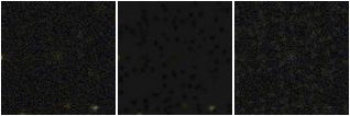 Missing file SDSSJ150059.35+015236.1-custom-montage-FUVNUV.png