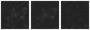 Missing file SDSSJ150100.85+010049.8-custom-montage-W1W2.png