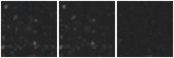 Missing file AGC258694-custom-montage-W1W2.png
