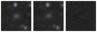 Missing file PGC1185172-custom-montage-W1W2.png