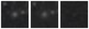 Missing file PGC1190714-custom-montage-W1W2.png