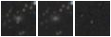 Missing file PGC1216386-custom-montage-W1W2.png