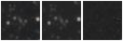 Missing file PGC2180927-custom-montage-W1W2.png