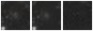 Missing file SDSSJ150634.25+001255.6-custom-montage-W1W2.png