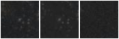 Missing file PGC1128787-custom-montage-W1W2.png