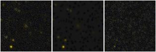 Missing file PGC1217593-custom-montage-FUVNUV.png