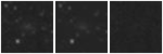 Missing file PGC3098573-custom-montage-W1W2.png