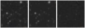Missing file AGC258696-custom-montage-W1W2.png