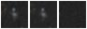 Missing file PGC1200646-custom-montage-W1W2.png