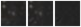 Missing file PGC2453040-custom-montage-W1W2.png