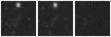 Missing file SDSSJ151303.42+325505.7-custom-montage-W1W2.png