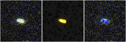 Missing file PGC054545-custom-montage-FUVNUV.png