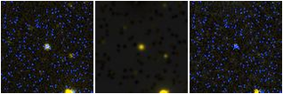 Missing file SDSSJ151746.79+181053.2-custom-montage-FUVNUV.png