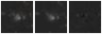 Missing file SDSSJ152230.10+405251.8-custom-montage-W1W2.png