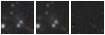 Missing file AGC258127-custom-montage-W1W2.png