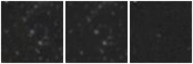 Missing file PGC3123131-custom-montage-W1W2.png