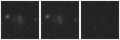 Missing file SDSSJ152720.05+485224.9-custom-montage-W1W2.png
