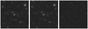 Missing file PGC1562928-custom-montage-W1W2.png