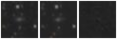 Missing file PGC2517976-custom-montage-W1W2.png