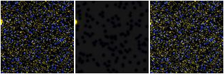 Missing file SDSSJ153151.60+174507.7-custom-montage-FUVNUV.png