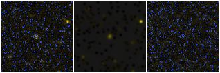 Missing file AGC258420-custom-montage-FUVNUV.png