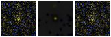 Missing file PGC2549587-custom-montage-FUVNUV.png