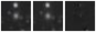 Missing file PGC2549587-custom-montage-W1W2.png
