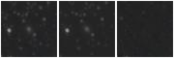 Missing file PGC2587333-custom-montage-W1W2.png
