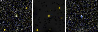 Missing file PGC2597829-custom-montage-FUVNUV.png