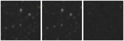 Missing file AGC258641-custom-montage-W1W2.png