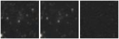 Missing file PGC086658-custom-montage-W1W2.png