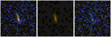 Missing file PGC1145574-custom-montage-FUVNUV.png