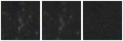 Missing file PGC1145574-custom-montage-W1W2.png