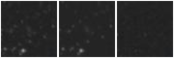 Missing file SDSSJ153844.84+564250.6-custom-montage-W1W2.png