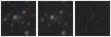 Missing file PGC1224445-custom-montage-W1W2.png