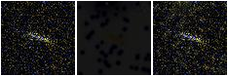 Missing file SDSSJ154251.47+090912.7-custom-montage-FUVNUV.png