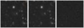 Missing file AGC257937-custom-montage-W1W2.png