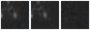 Missing file PGC055944-custom-montage-W1W2.png