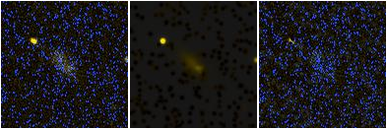 Missing file UGC10009-custom-montage-FUVNUV.png