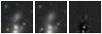 Missing file PGC056121-custom-montage-W1W2.png
