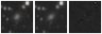 Missing file PGC056142-custom-montage-W1W2.png