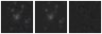 Missing file PGC1656651-custom-montage-W1W2.png