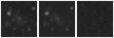 Missing file SDSSJ155106.11+361308.1-custom-montage-W1W2.png