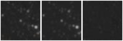 Missing file VFID1784-custom-montage-W1W2.png