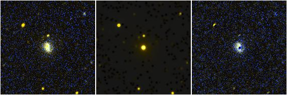 Missing file NGC6014-custom-montage-FUVNUV.png
