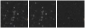 Missing file SDSSJ155701.55+300528.9-custom-montage-W1W2.png