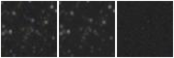 Missing file AGC262396-custom-montage-W1W2.png