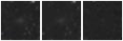 Missing file SDSSJ161002.86+303844.4-custom-montage-W1W2.png