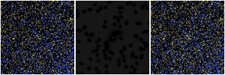 Missing file VFID3613-custom-montage-FUVNUV.png