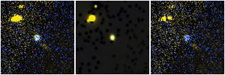 Missing file PGC2232836-custom-montage-FUVNUV.png